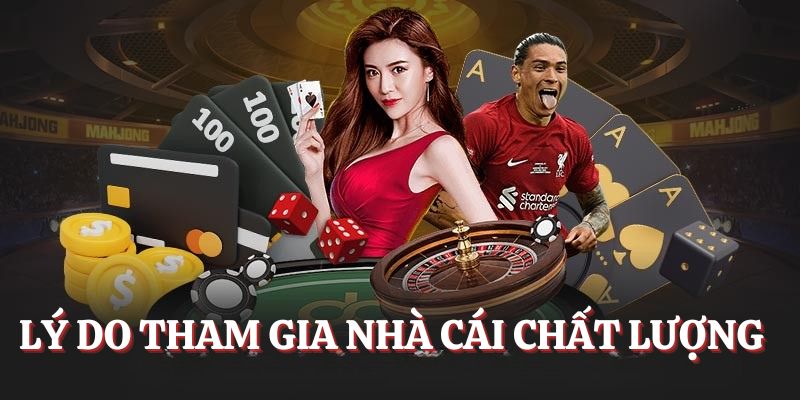Lý do tham gia nhà cái chất lượng