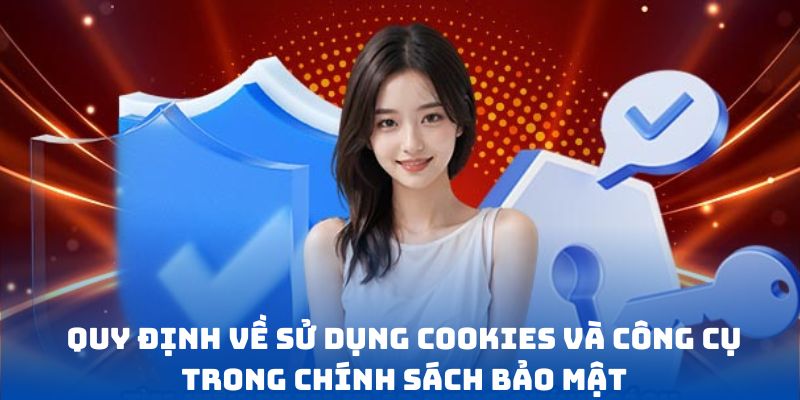 Quy định về sử dụng Cookies và công cụ trong chính sách bảo mật